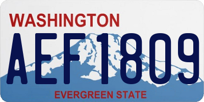 WA license plate AEF1809