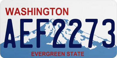 WA license plate AEF2273