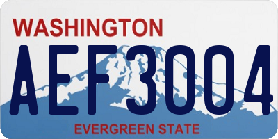 WA license plate AEF3004