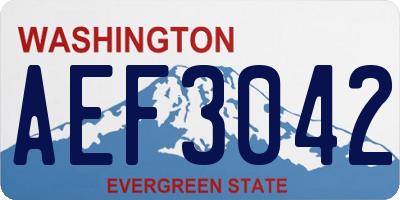 WA license plate AEF3042
