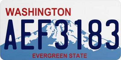 WA license plate AEF3183