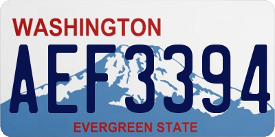 WA license plate AEF3394