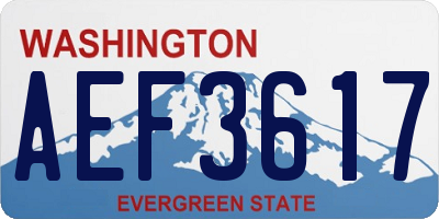 WA license plate AEF3617