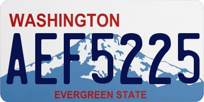 WA license plate AEF5225