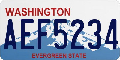 WA license plate AEF5234