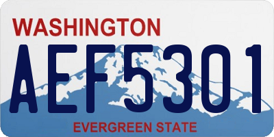 WA license plate AEF5301