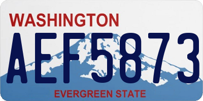 WA license plate AEF5873