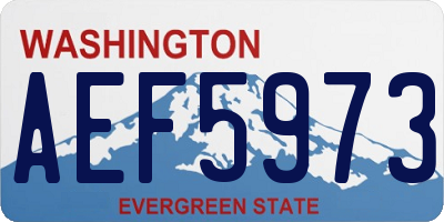 WA license plate AEF5973
