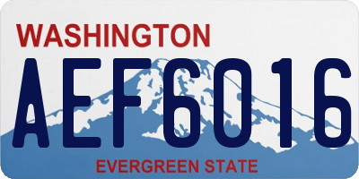 WA license plate AEF6016