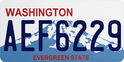 WA license plate AEF6229
