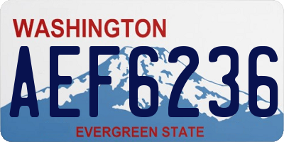 WA license plate AEF6236
