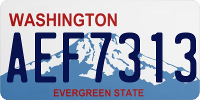 WA license plate AEF7313