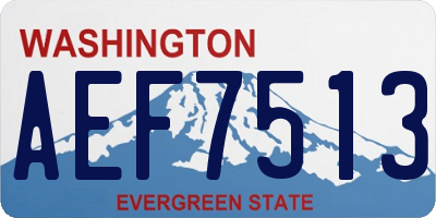 WA license plate AEF7513