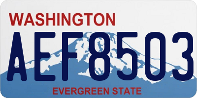WA license plate AEF8503