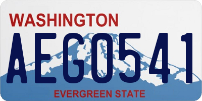 WA license plate AEG0541