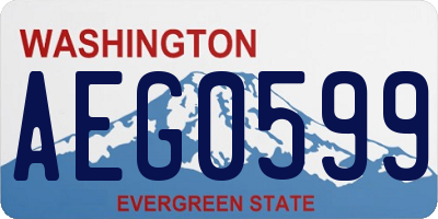 WA license plate AEG0599