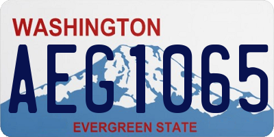 WA license plate AEG1065