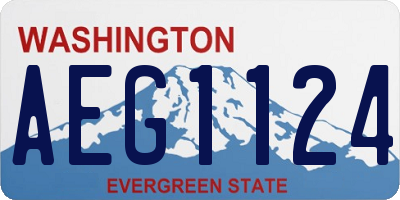 WA license plate AEG1124