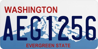 WA license plate AEG1256