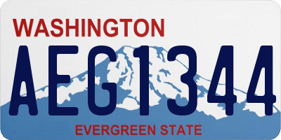 WA license plate AEG1344