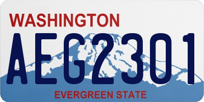 WA license plate AEG2301