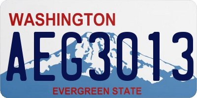 WA license plate AEG3013