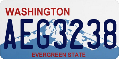 WA license plate AEG3238