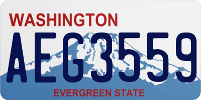 WA license plate AEG3559