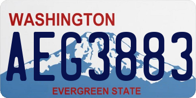 WA license plate AEG3883