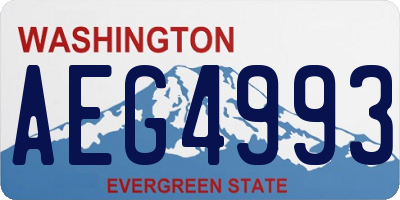 WA license plate AEG4993