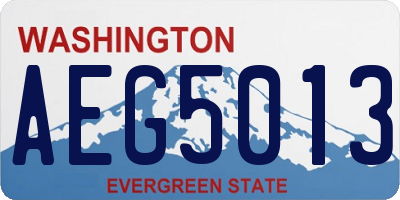WA license plate AEG5013