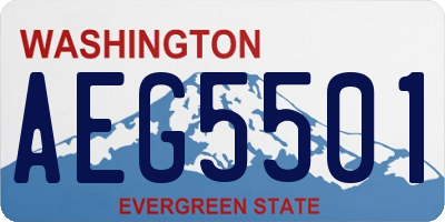 WA license plate AEG5501