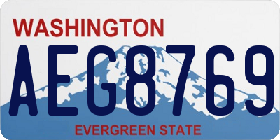 WA license plate AEG8769