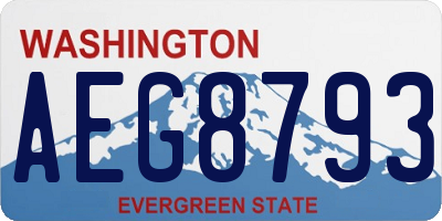 WA license plate AEG8793