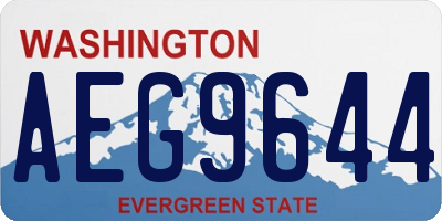 WA license plate AEG9644