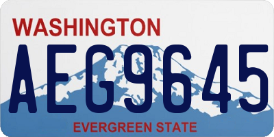 WA license plate AEG9645