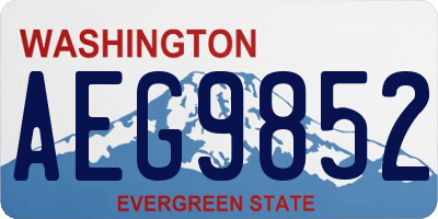 WA license plate AEG9852