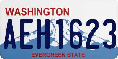 WA license plate AEH1623