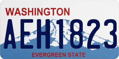 WA license plate AEH1823