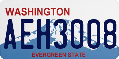 WA license plate AEH3008