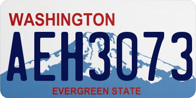 WA license plate AEH3073