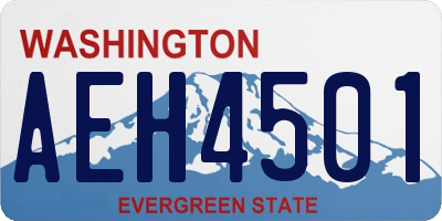 WA license plate AEH4501