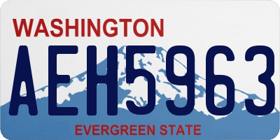 WA license plate AEH5963