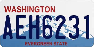 WA license plate AEH6231