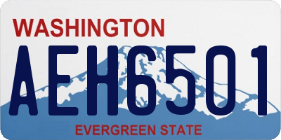 WA license plate AEH6501