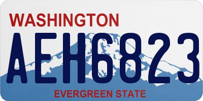 WA license plate AEH6823