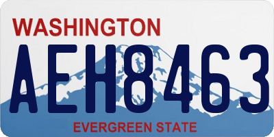 WA license plate AEH8463