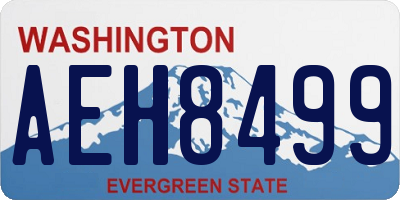 WA license plate AEH8499