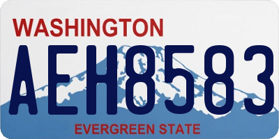WA license plate AEH8583