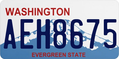 WA license plate AEH8675